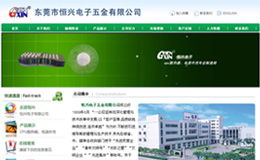 東莞專業(yè)網(wǎng)站設(shè)計與建設(shè) 耐特網(wǎng)絡公司運營管理解析