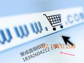 聚成網(wǎng)絡熱門直銷系統(tǒng)軟件開發(fā)與海南市場供應分析