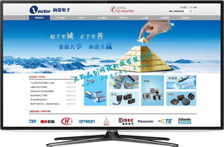 閔行網(wǎng)站建設(shè)與網(wǎng)絡開發(fā) 打造專業(yè)、高效的在線平臺