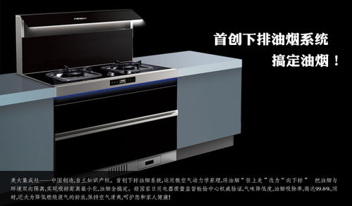 樂(lè)平美大集成灶