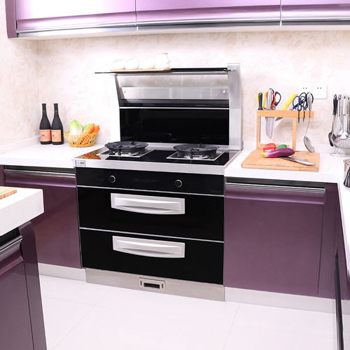 2018集成灶品牌產(chǎn)品圖片大全 集成灶廚房裝修效果圖 十大品牌網(wǎng)